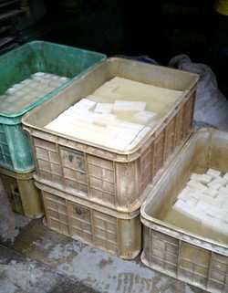 Yuk, Intip Cara Pembuatan Tahu!