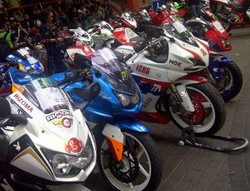 70 Moge Bertarung Rebutkan Juara 1