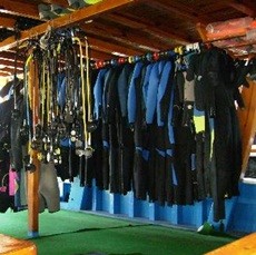 Membeli Peralatan Diving, Ingat 5 Hal Ini