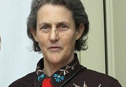 Temple Grandin, Jatuh Bangun Karena Autis Lalu Jadi Profesor