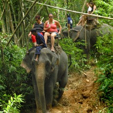 Cara Berkeliling Asyik di Bali? Coba Naik Gajah!