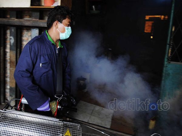 Semprot Asap Cegah Wabah DBD