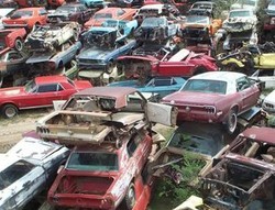 Kuburan Mustang Terbesar di Dunia