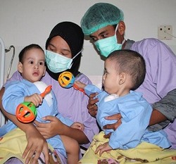 Wanda-Wandi Makin Lincah dan Berkembang Baik