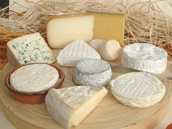 Perusahaan Enzim Inggris Masuki Pasar Keju Halal