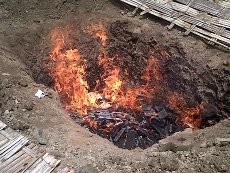 Antisipasi Penyakit Menular, Produk Pangan Malaysia Dibakar