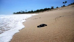 Serunya 3 Hari 2 Malam di Lampung Barat