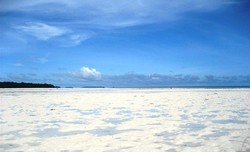 Bercumbu dengan Pantai Ohoidertawun, Maluku Tenggara