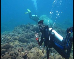 Lenggak Lenggok Sang Bidadari Halmahera
