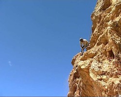 Geliat Kehidupan di Timur Jawa