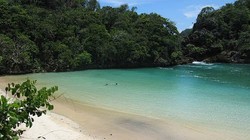 Yuk! Menikmati Laguna Sempu