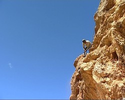 Geliat Kehidupan Di Timur Jawa