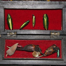 Ini Dia Jenis Susuk yang Biasa Dipakai Artis