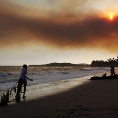 Radiasi Nuklir Jepang Ditemukan di Pantai Barat Amerika!