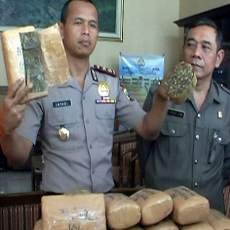 Bosan Jadi Petani, Warga Aceh Alih Profesi Jadi Bandar Ganja