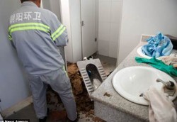 Bayi di China Sekarat Gara-gara Lahir di WC Lalu Tersiram