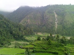 Kabut di Ujung Sarangan
