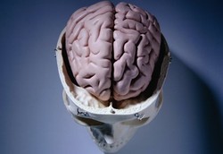 Mati Otak, Organ Vital Remaja di India Dipanen