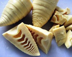 Serat Tinggi Rebung Efektif Turunkan Kolesterol