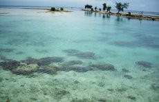 Saat Gempa Mengguncang Wisatawan di Indonesia & Thailand