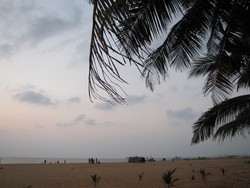 5 Tips Penting Saat Traveling ke Sri Lanka