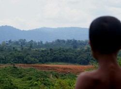 Pelaku Illegal Logging Sandera 2 Petugas Restorasi Hutan Jambi