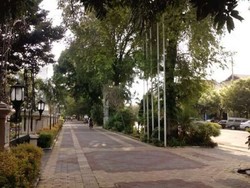 4 Kota di Indonesia yang Asyik Dinikmati dengan Bersepeda