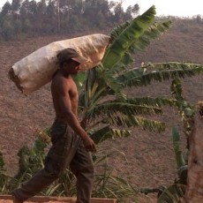 Tes DNA Buktikan Orang Indonesia dan Madagaskar Bersaudara