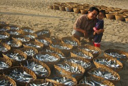 nggak bosan ke pantai tanjung papuma jember