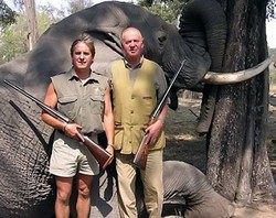 Raja Spanyol Terjatuh Saat Berburu Gajah