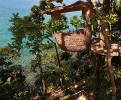 Menginap di Hotel ini, Bisa Makan di Atas Pohon