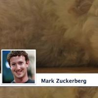 Facebook Perbesar Ukuran Foto Profil