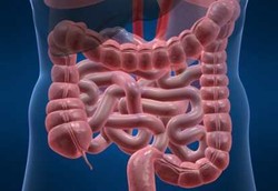 6 Kanker Ini Menyerang Sistem Pencernaan