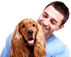 7 Hewan Peliharaan yang Menunjukkan Sifat Pemiliknya 