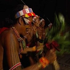Potret Alam, Suku, dan Budaya Mentawai di Pulau Siberut