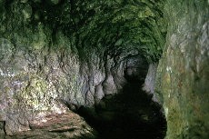 Gua Kreo, Keindahan Alam di Dalam Perut Kota Semarang