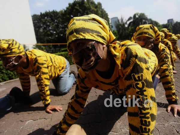 Harimau Sumatera Geruduk Kemenhut