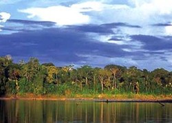 Manu Peru, Hutan Hujan Tropis Kaya Fauna Eksotis