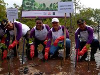 Muamalat Hijaukan Kepulauan Seribu
