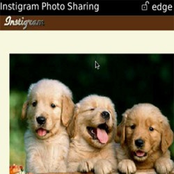 iOS & Android Punya Instagram, BlackBerry Punya Instigram! 