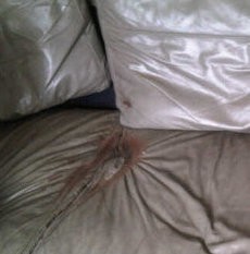 DKR Desak Polisi Tangkap Pelaku Teror Bom Molotov