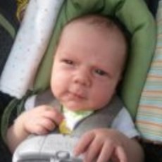 Tragis! Bayi 2 Bulan Tewas Diserang Anjing Retriever Saat Ayahnya Tertidur