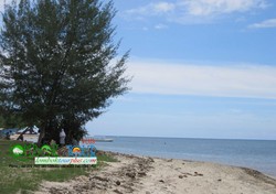 Keajaiban Alam Lombok pada Pantai Sire