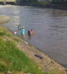 Diduga Tercemar Limbah, Ikan-ikan di Sungai Jagir Mati