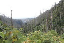 Menapaki Jejak Letusan Merapi