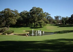 Kings Park, Taman Kota nan Cantik Jelita di Perth
