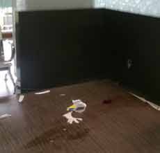 Pasien Psikiatri Bunuh Diri di RSU Soetomo Depresi Ditakuti akan Di-PHK