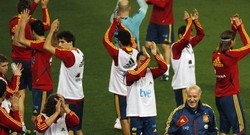 Del Bosque Ingin Spanyol Membumi