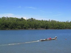 Tentramnya Kehidupan Kampung Terapung Sungai Lanowulu
