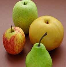 Ngemil Sehat Sebelum Yoga Yuk!